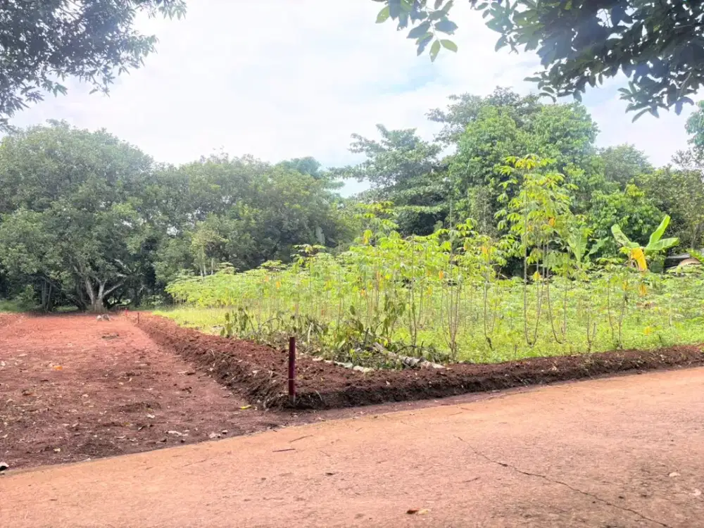 Tanah Kavling Akses Dekat Taman Sari Forest, 1 Jt-an/m2