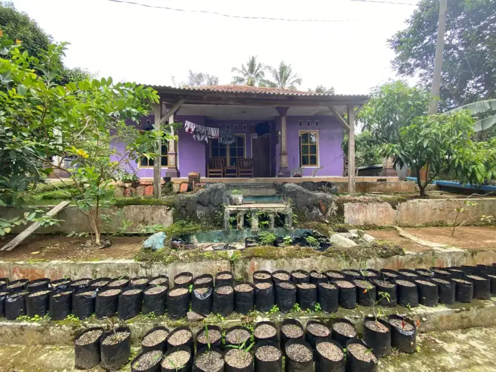 Dijual Murah Rumah Kampung + Kebun Dekat Tol Darangdan Purwakarta