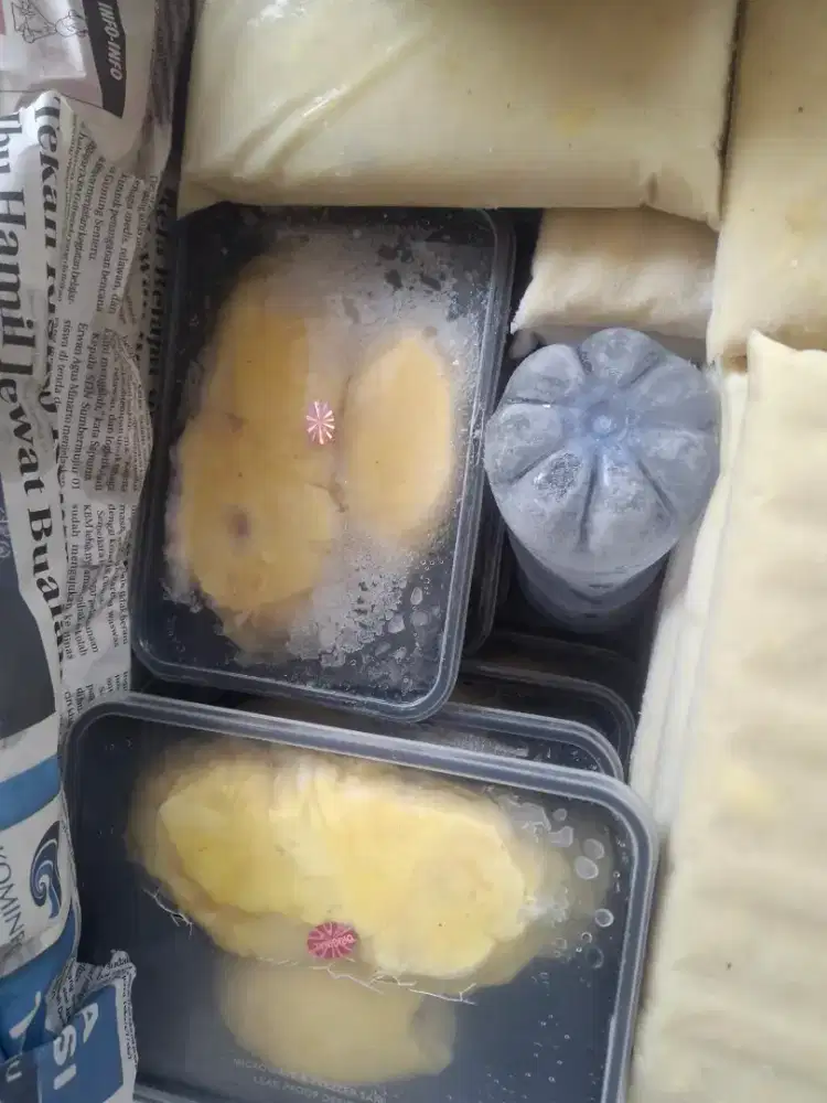 Durian Montong Palu Parigi