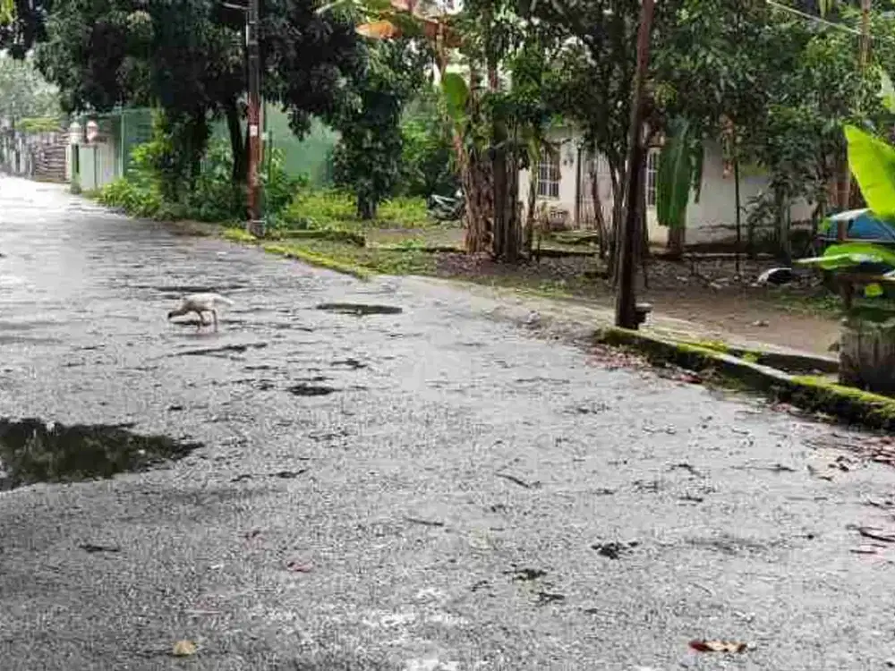 DIJUAL TANAH PEKARANGAN DIUTARA KAMPUS RESPATI TAJEM