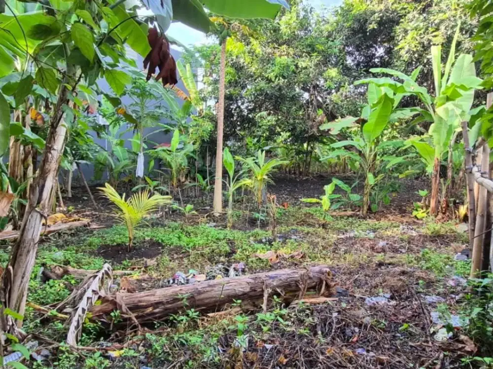 dijual tanah pinggir jalan provinsi  lokasi Galiran Karangasem