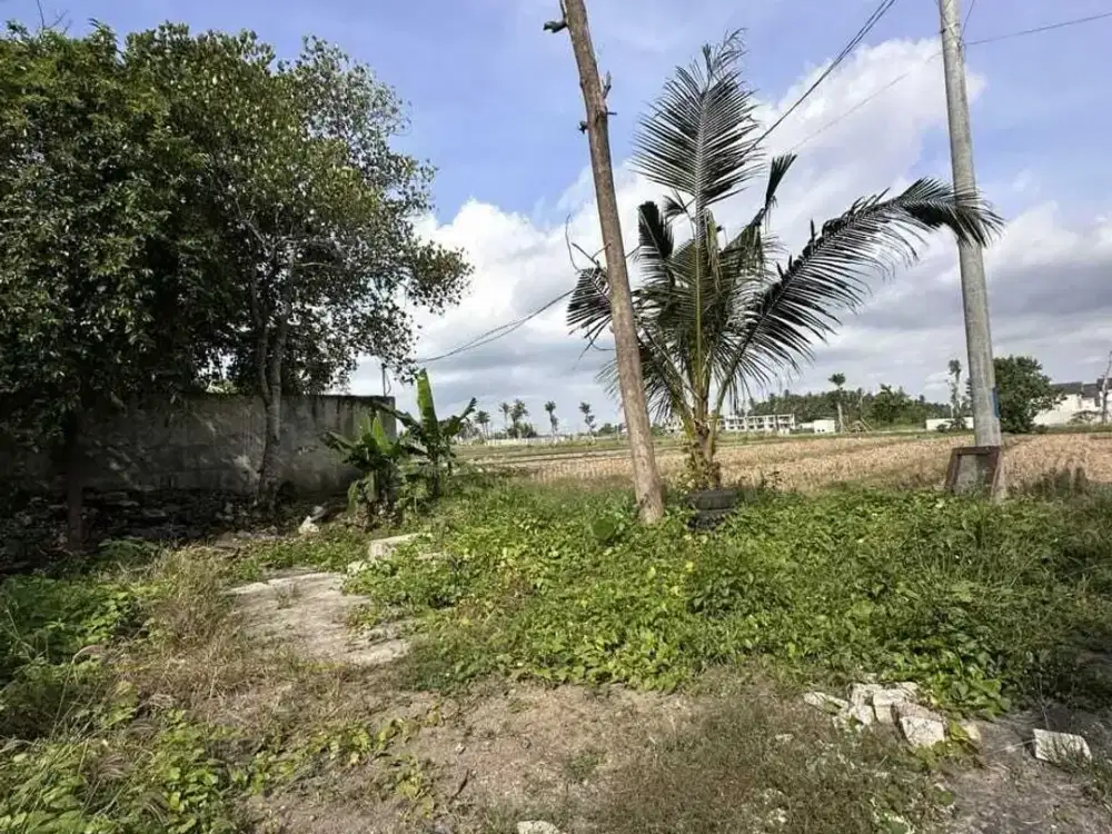 Land for sale in Kediri, Bali