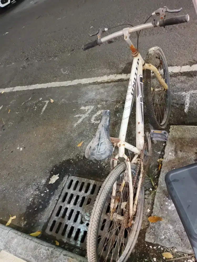 Sepeda united ukuran 26