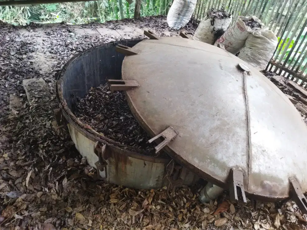 Dandang kukus daun cengkeh