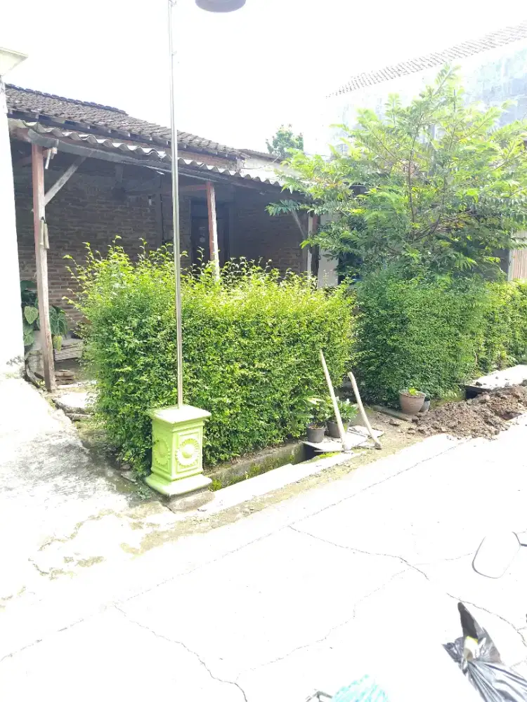 Rumah murah belakang Unissra Sragen