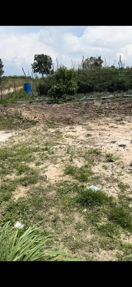 jual cepat tanah SHM dan sudah ada izin untuk bangun Rumah