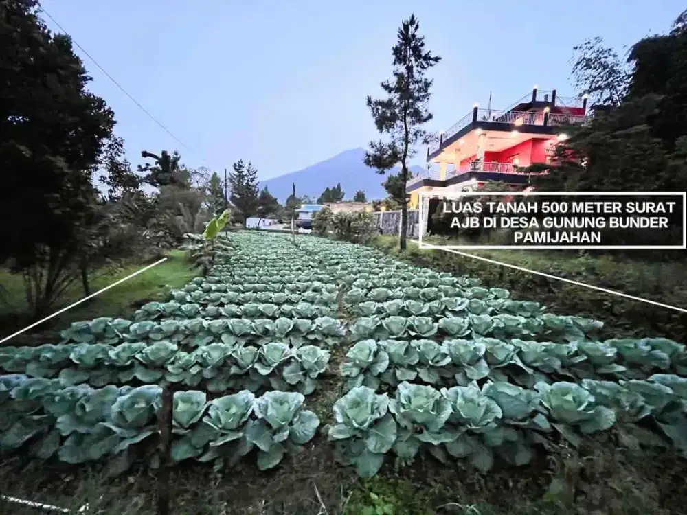 TANAH KEBUN MURAH COCOK BANGET BUAT BERKEBUN VIEW GUNUNG SALAK BOGOR