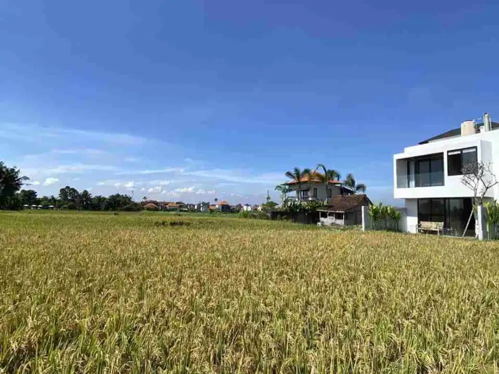 DIJUAL VILLA CANTIK VIEW SAWAH AREA UBUD BALI