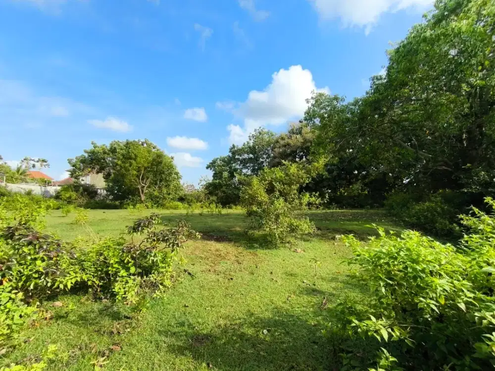 Sebidang Tanah Datar Siap bangun