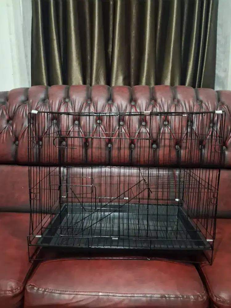 Kandang Tingkat Untuk Kucing