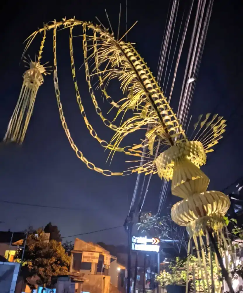 Janur kuning untuk pernikahan dan khitanan satu set