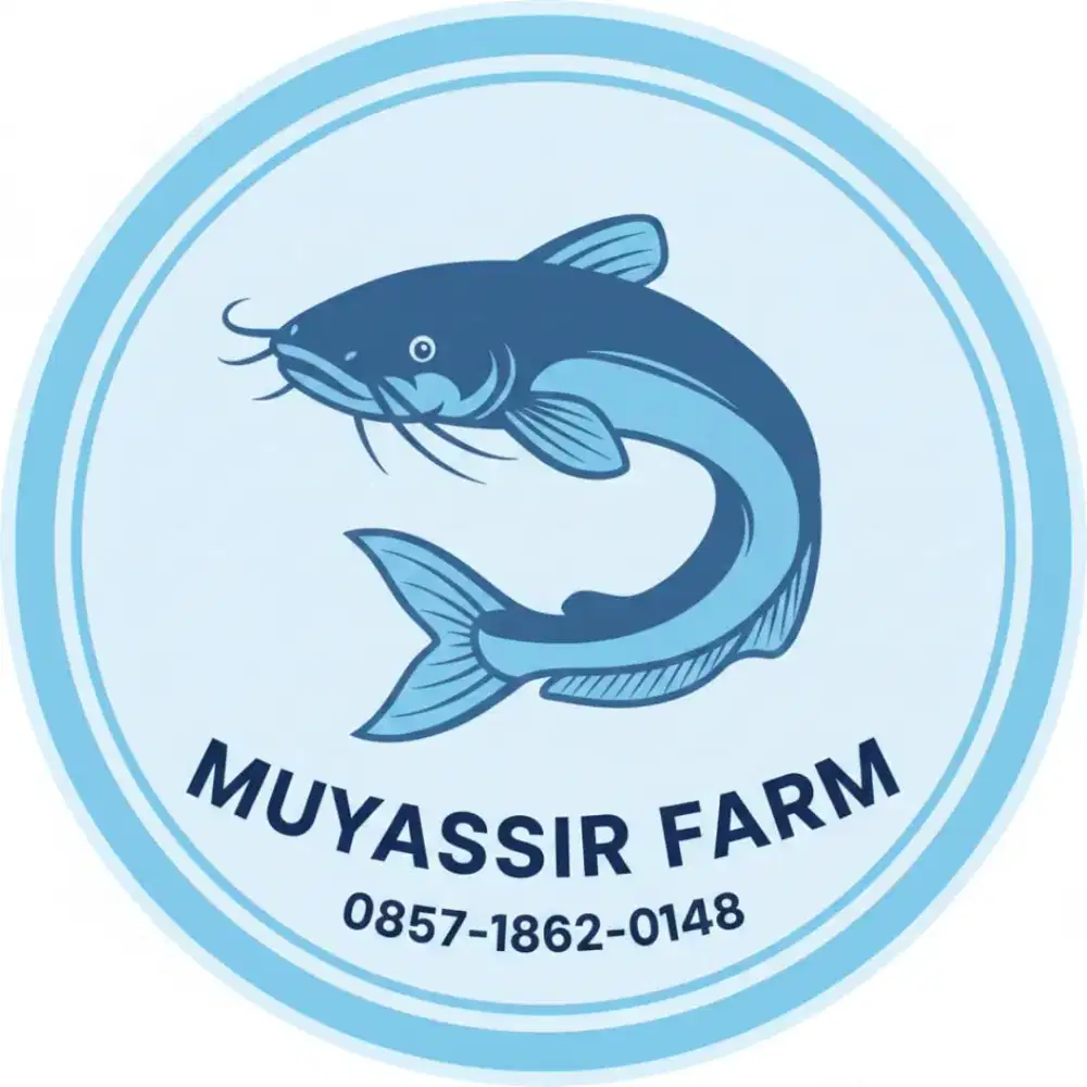 Benih ikan lele ukuran 345678