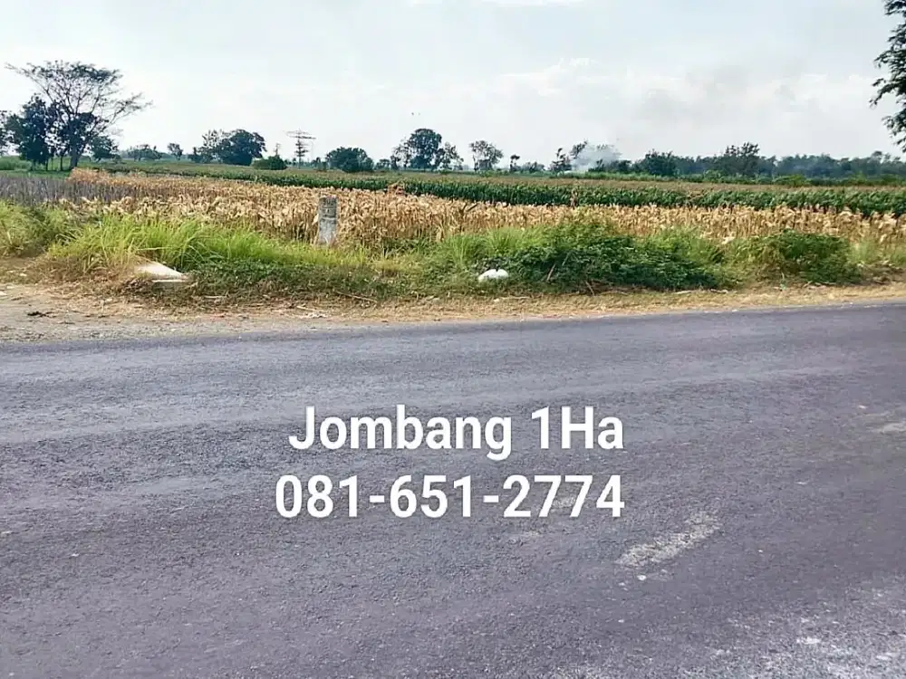 Tanah di Jombang Gudo