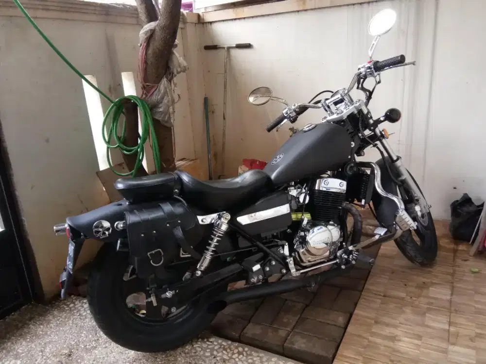 Benelli Patagonian eagle 2019