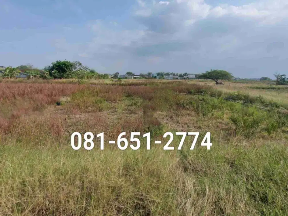 Tanah di Menganti Gresik.