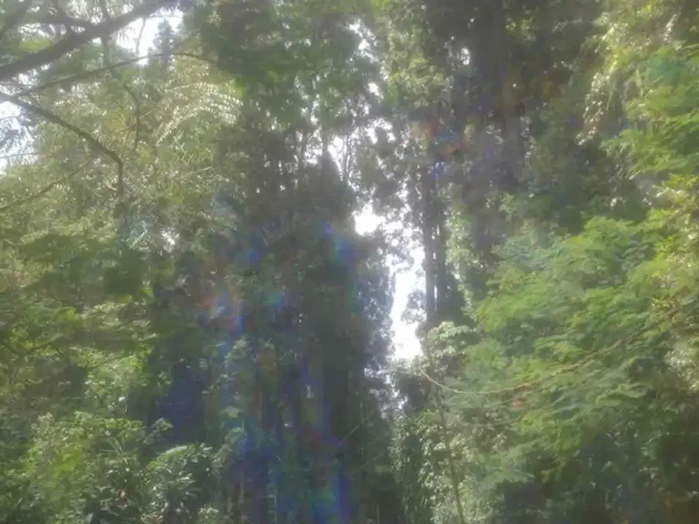 kaki. gunung. kav. siap. bangun.  lingkung. alam asri. sejuk