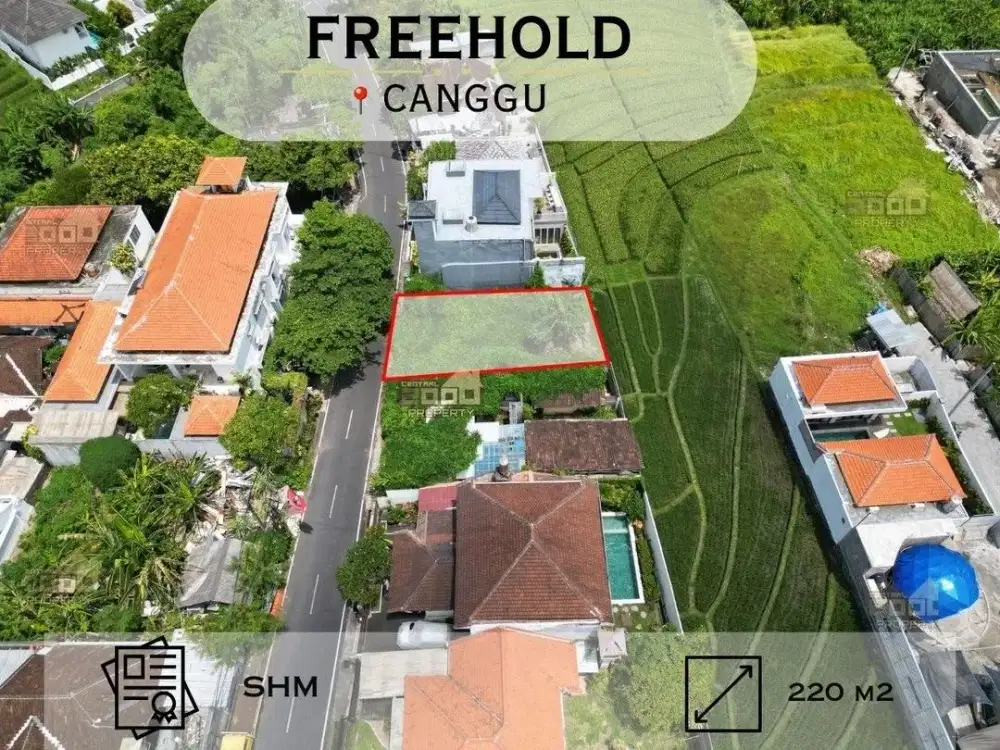 Freehold Land Canggu – Lokasi Strategis & Scenic Ricefield View