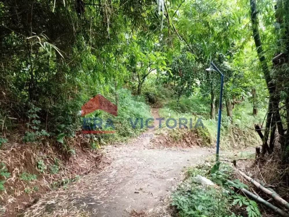 Tanah di Selopanggung, Semen, Kediri