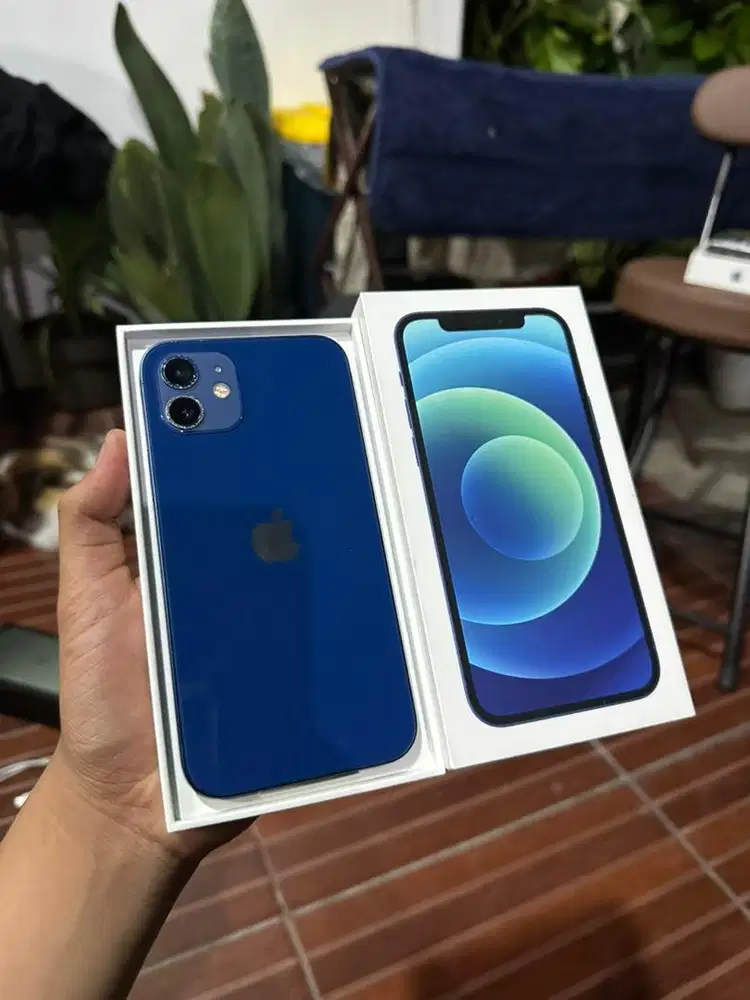 iPhone 12 Basic 256GB Digimap ( Blue )