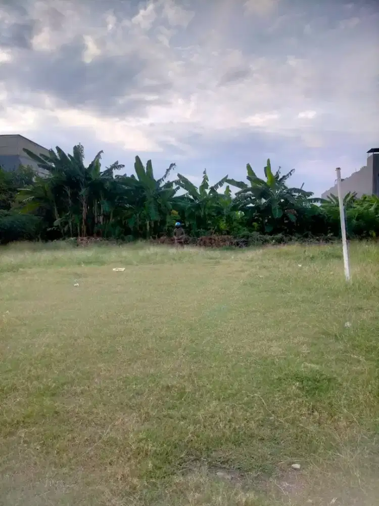 DIJUAL Tanah sedati agung Juanda (NEGO)