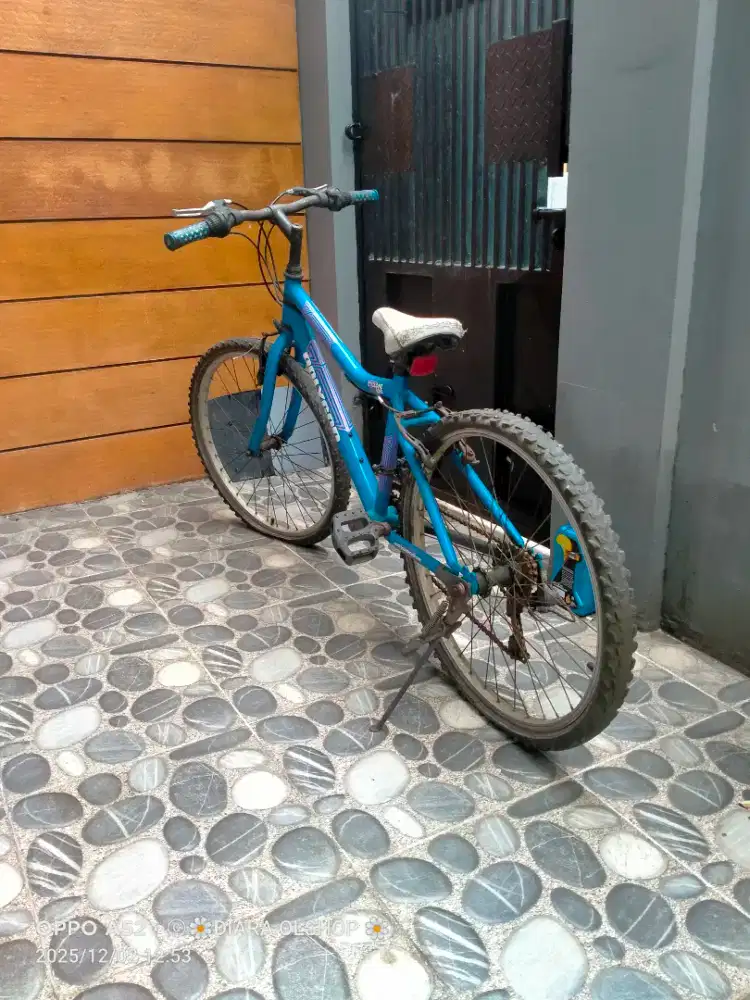 Sepeda Polygon second