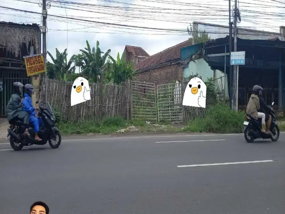 DIJUAL TANAH PINGGIR JALAN DEKAT RS SOEBANDY JEMBER