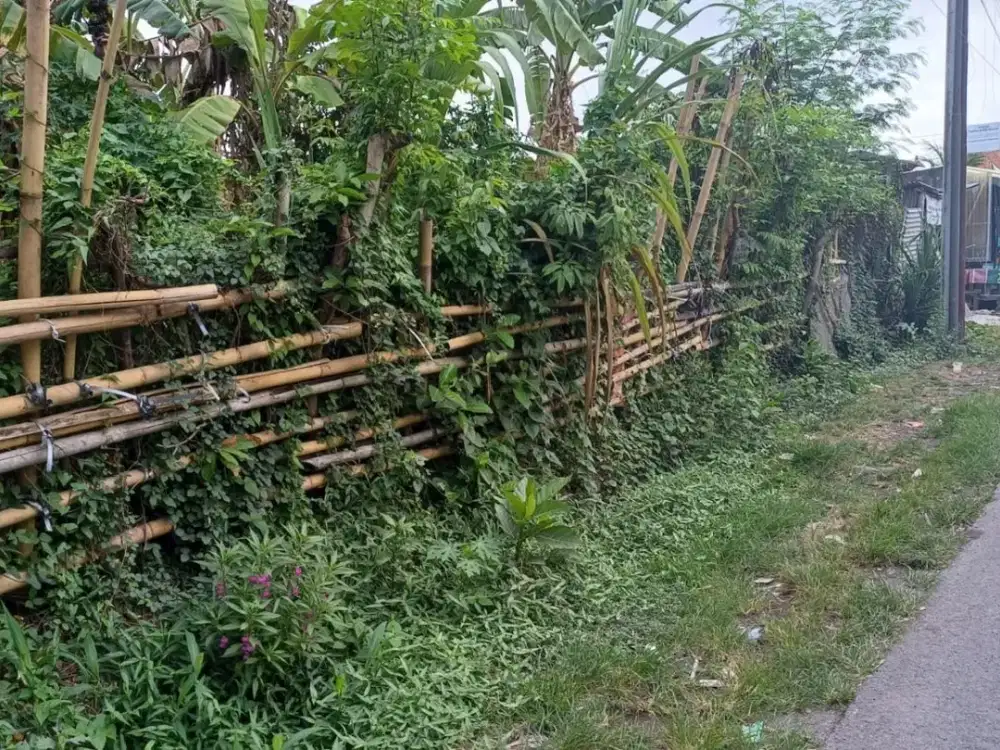 For Sale Premium & Exclusive Land Kawasan Permukiman Denpasar Utara