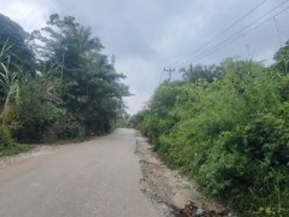 Tanah murah cocok untuk bangun type 36 lokasi Jl. Sukamaju, Palas, Rumbai