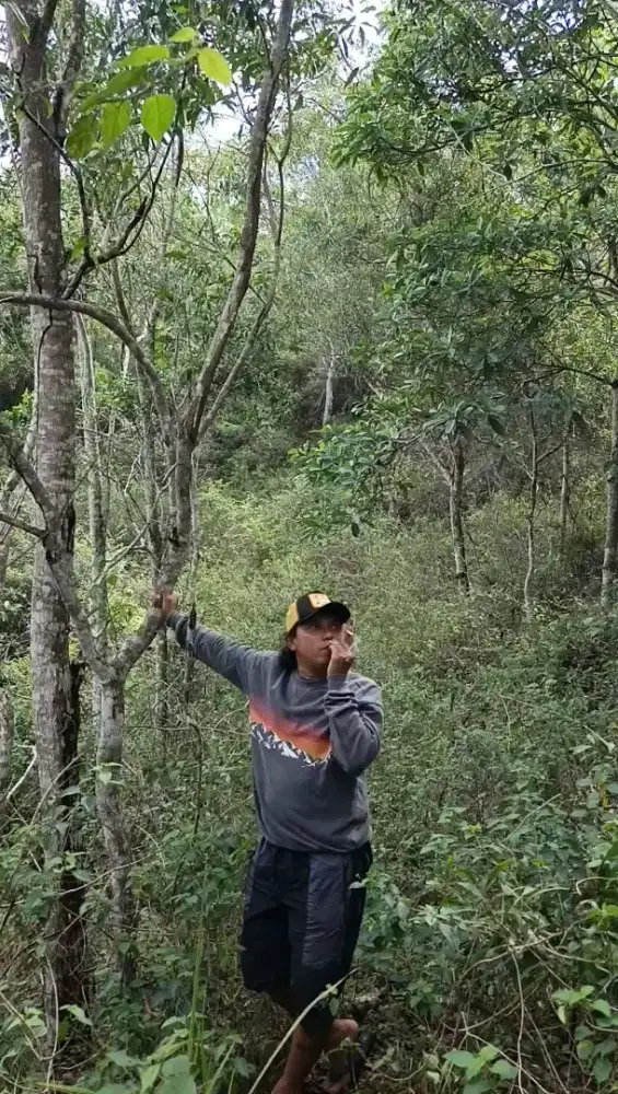 Tanah 20.217 m, SHM + SPPT JUAL BORONGAN SANGAT MURAH