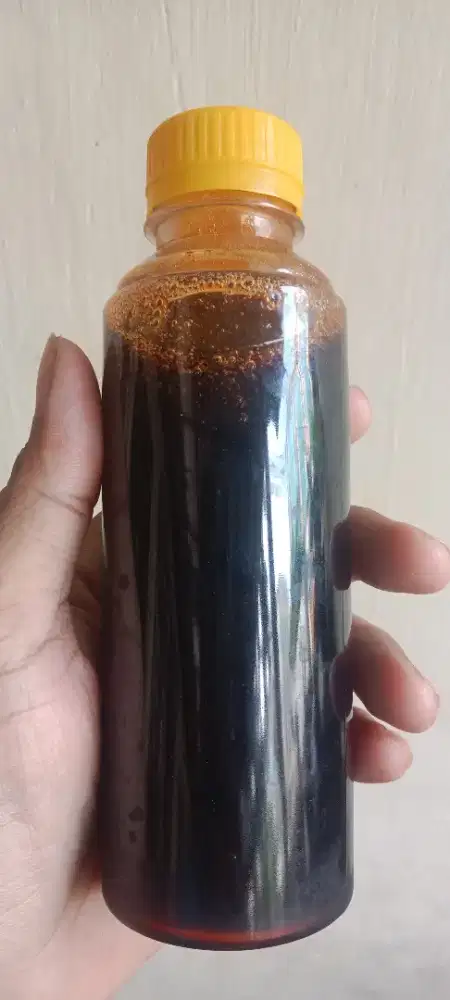 Madu Hutan Hitam pahit asli