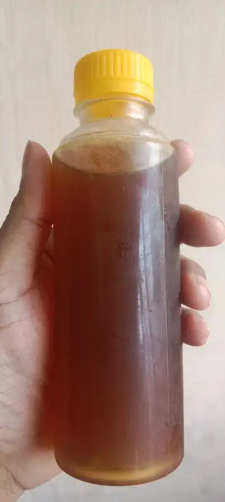 Madu Klanceng asli murni 100%