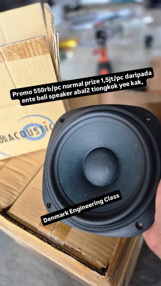 Speaker SB Acoustics Denmark Bass Ciamik Garansi 3th