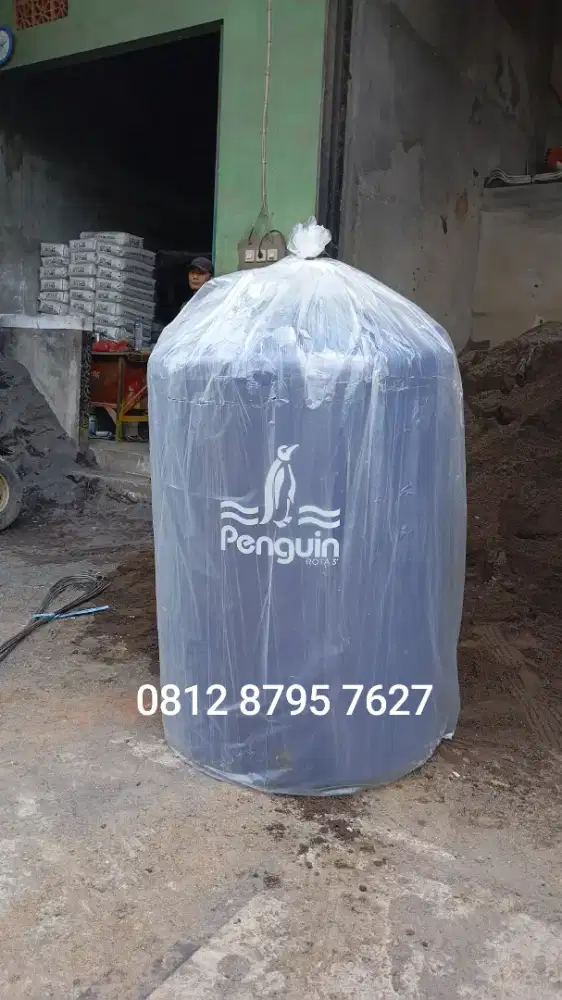 Tandon air penguin