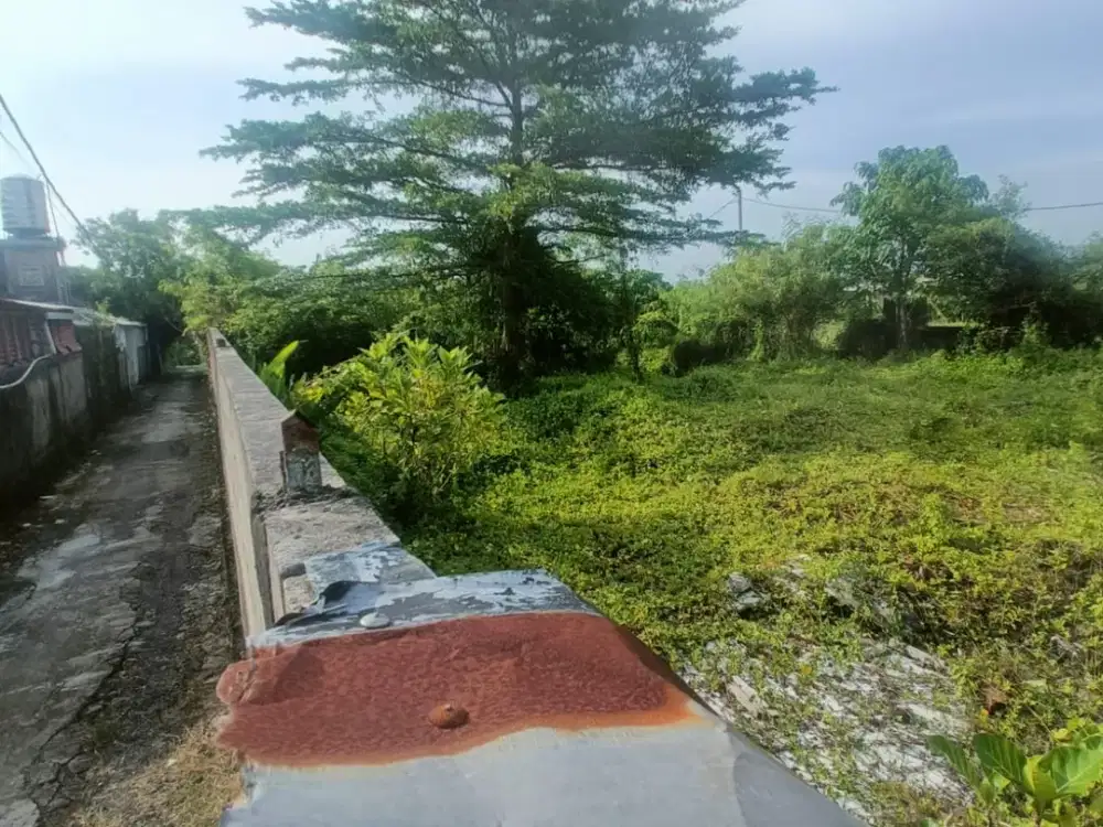 tanah brawa tandeg view sawah jalur hijau