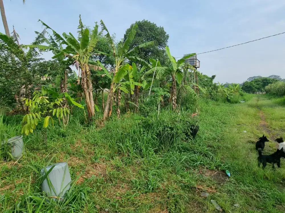 Dijual Tanah Kavling Siap Bangun Lokasi Strategis di Gajah Mekar Kutawaringin Bandung