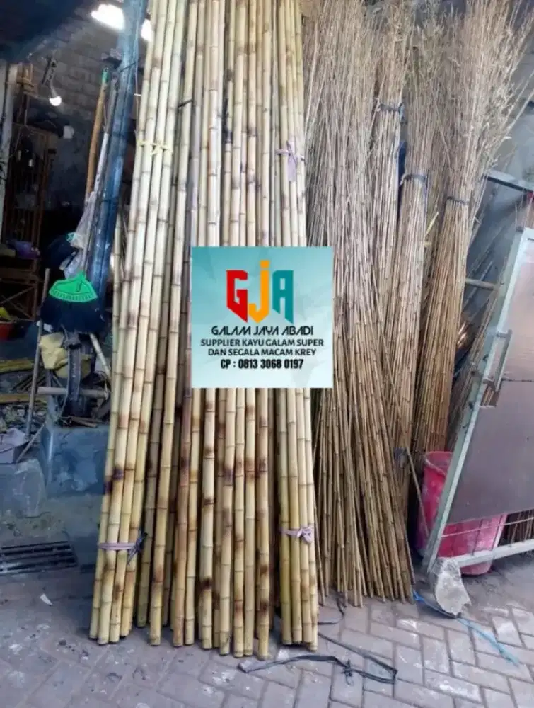 Bambu Cendani Super / Bambu China