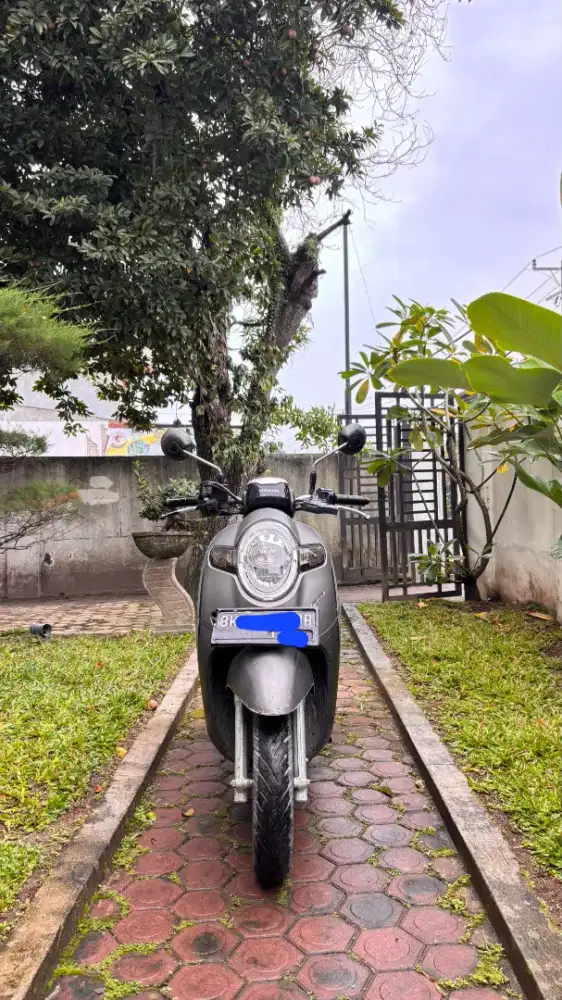 Scoopy 2019 stylish