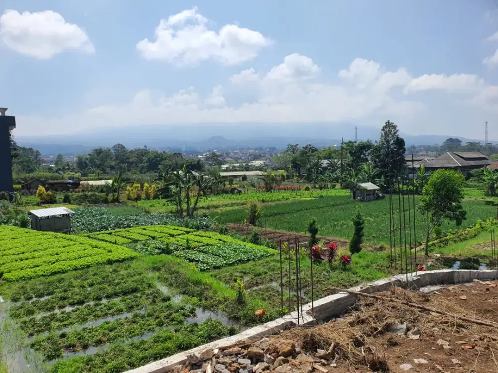 Villa Terusan Metro Batu – Dekat Alun-alun & Kawasan Wisata