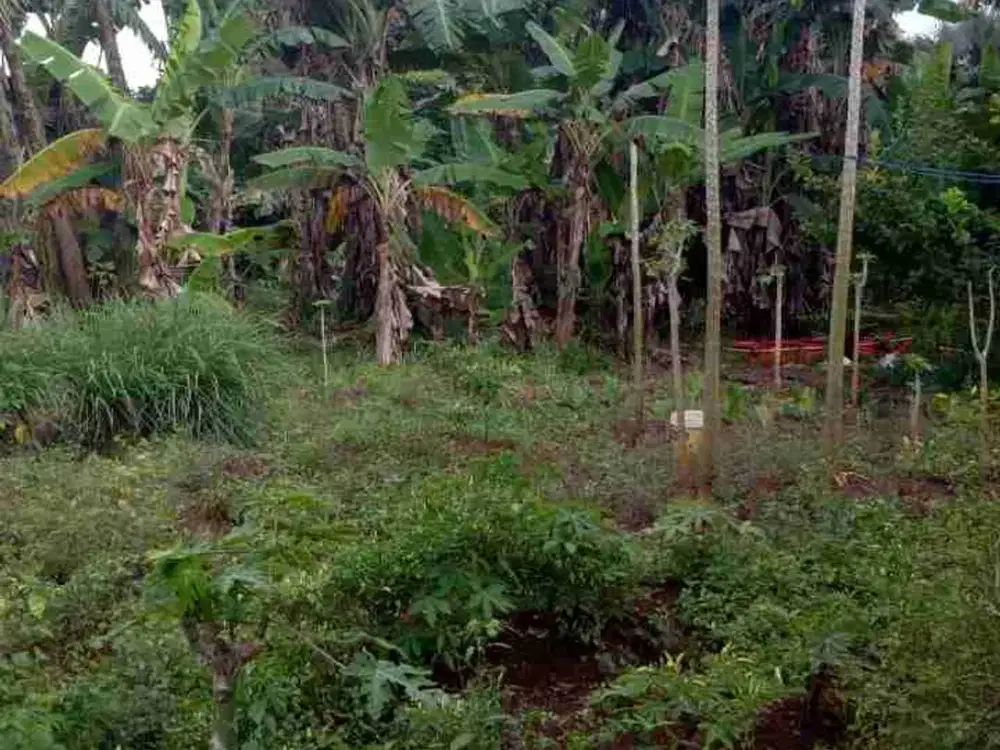 Dijual tanah dilokasi strategis