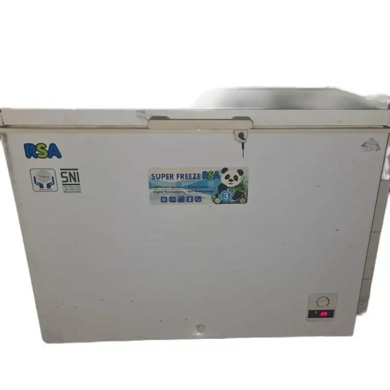 Freezer RSA 300L