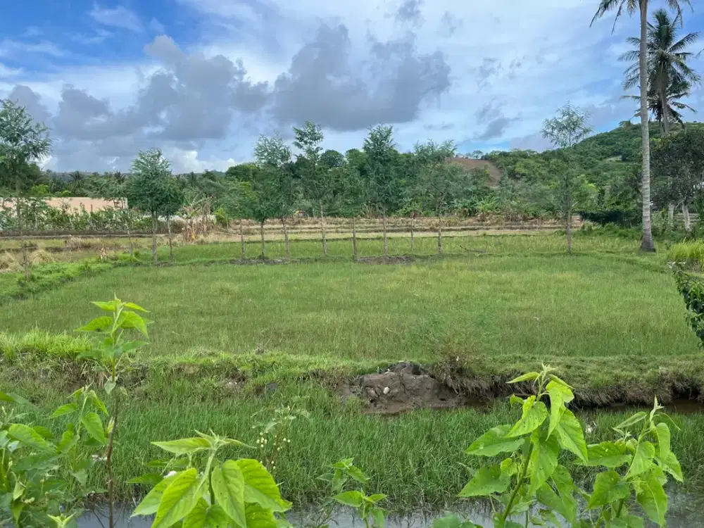 Tanah Selong Belanak dekat Kuta Mandalika