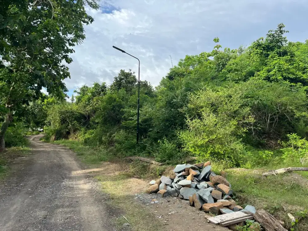 Tanah di selong belanak dekat Kuta Mandalika