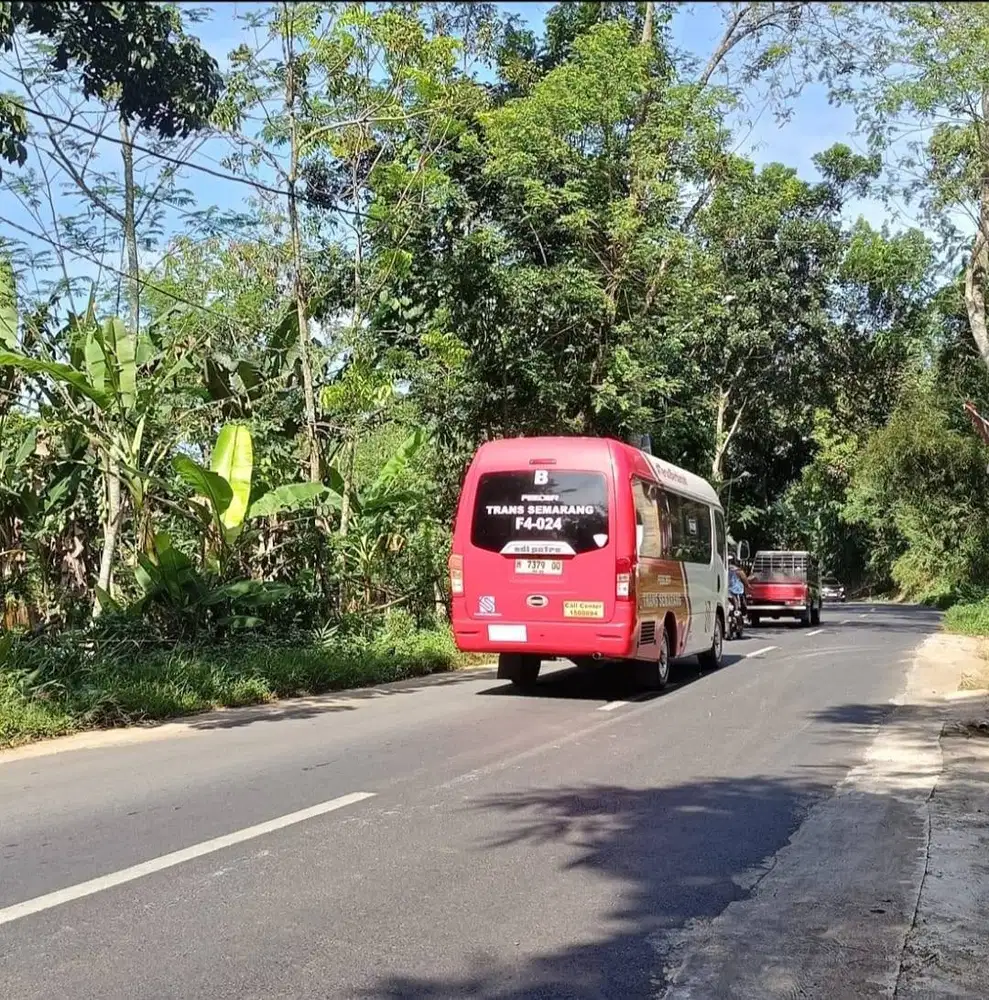 Tanah Murah DP 50 juta di gunung pati