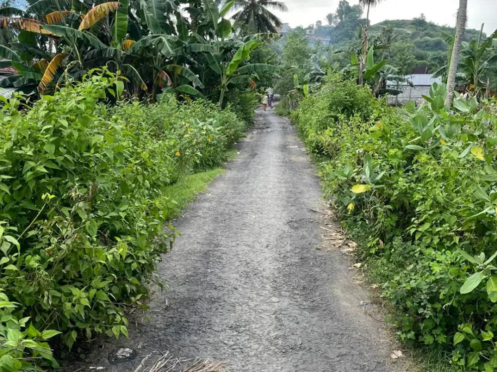 Tanah di selong belanak dekat Kuta Mandalika