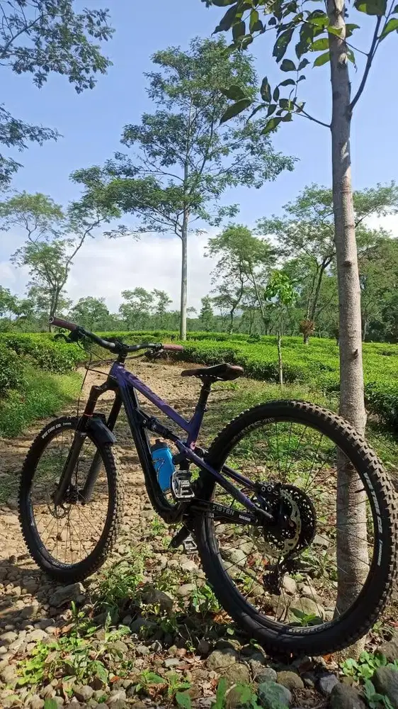 POLYGON SISKIU T8 29 UNGU