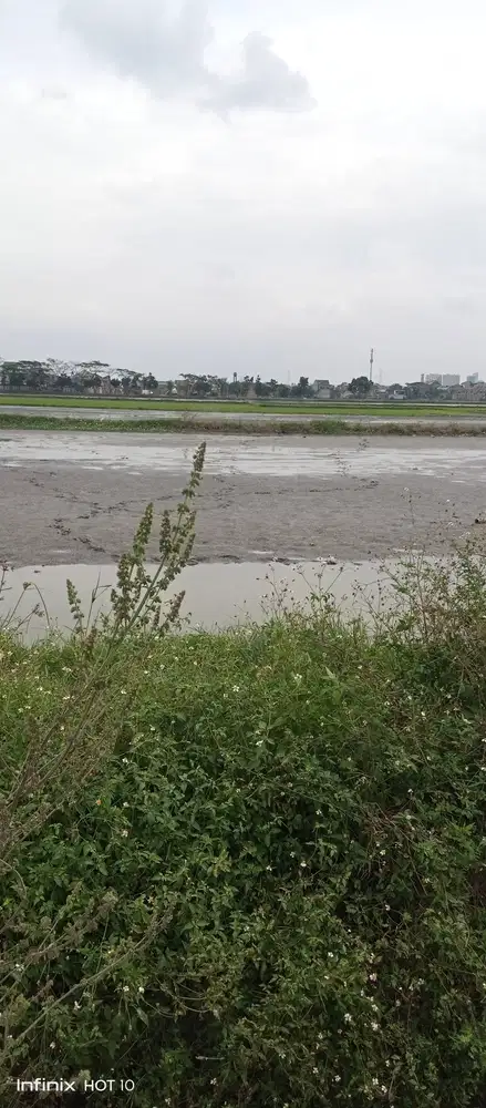 di jual murah cepat tanah / sawah di bojongsoang Cikoneng