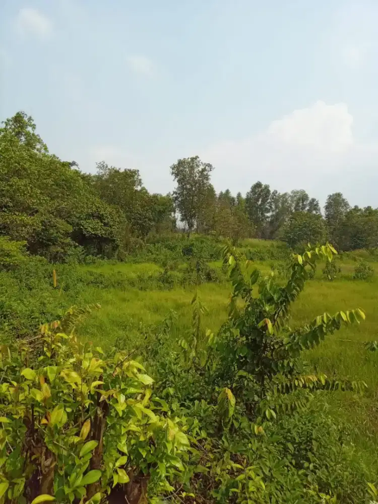 Dijual Tanah di Daerah Tigaraksa Tangerang