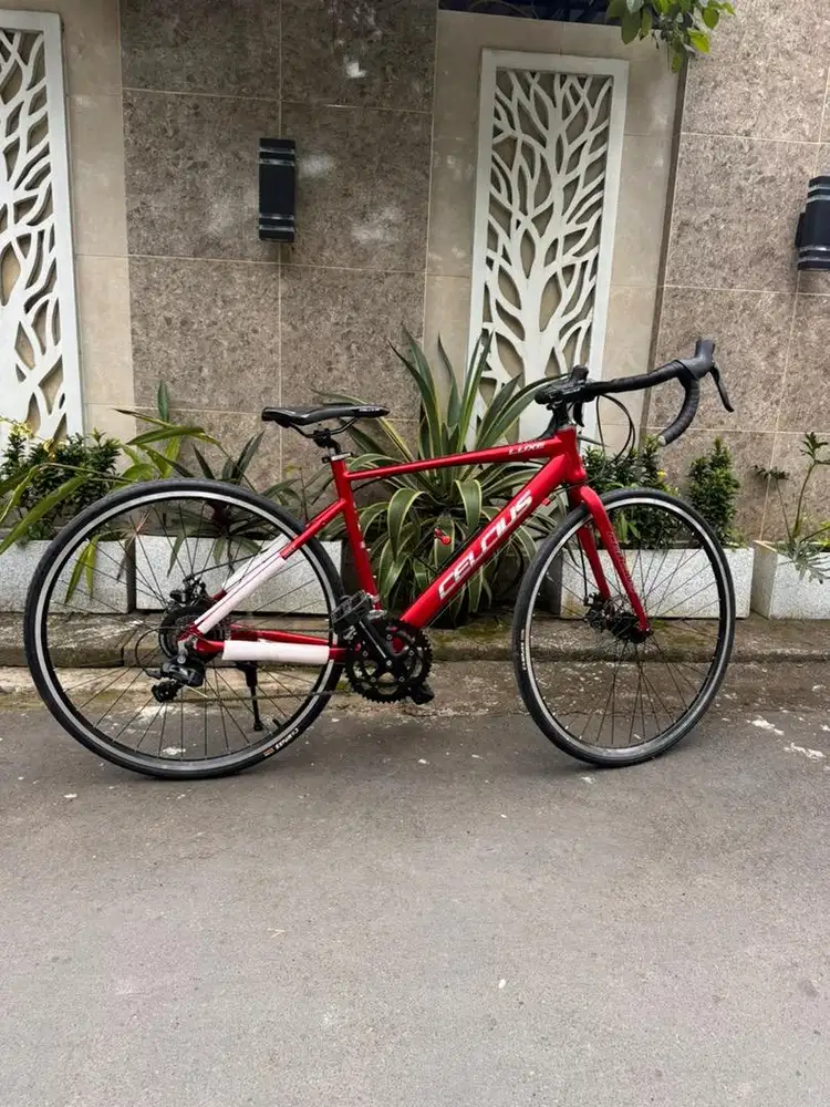 Sepeda Roadbike