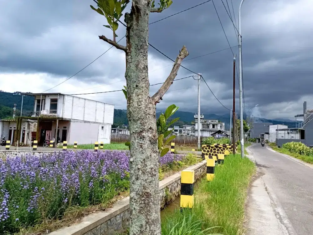 Pemandangan Panorama Pegunungan Untung 4X Deposito Depan wisata selecta