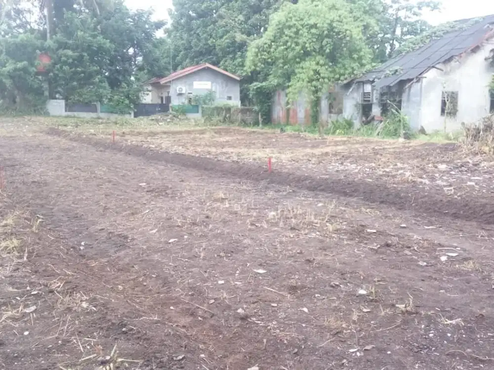 Tanah Kavling Siap AJB, Dekat Polsek Ciomas Bogor